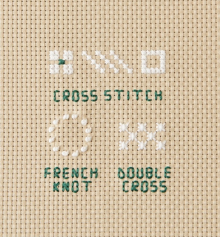 Close-up of Aida sampler labeled CROSS STITCH, FRENCH KNOT, and DOUBLE CROSS