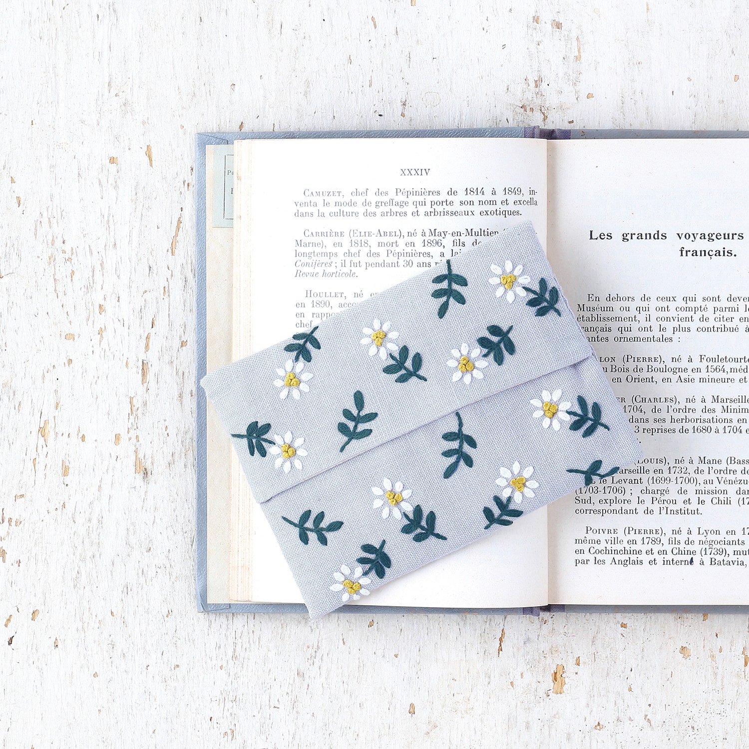 Light blue linen envelope pouch with white daisy embroidery resting on an open French book