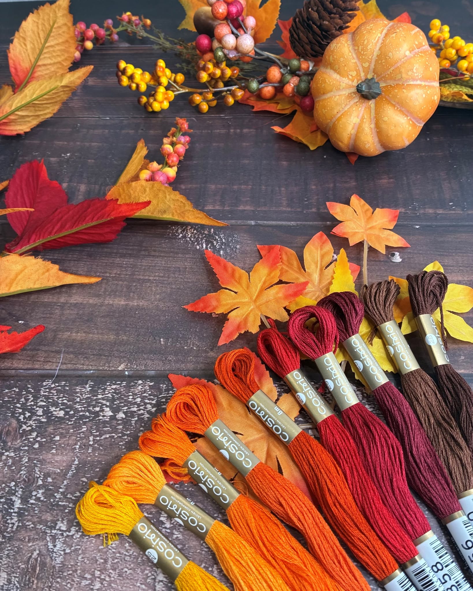 COSMO No. 25 floss skeins in yellow through burgundy arranged with maple leaves and a pumpkin